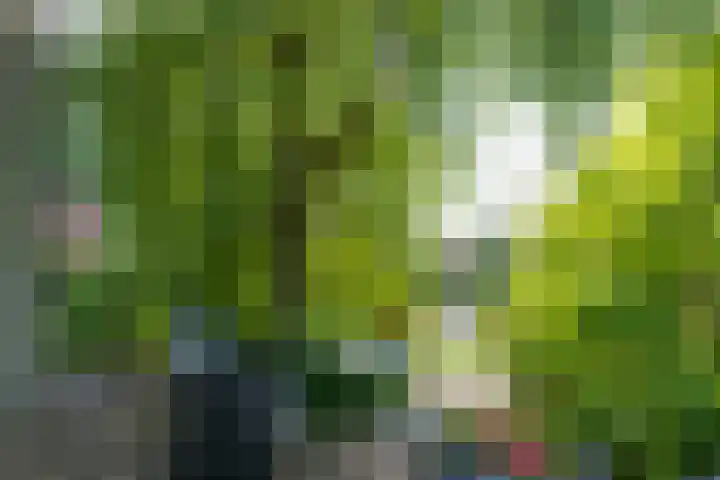 Wonderfontein 74 Purmerend thumbnail 37