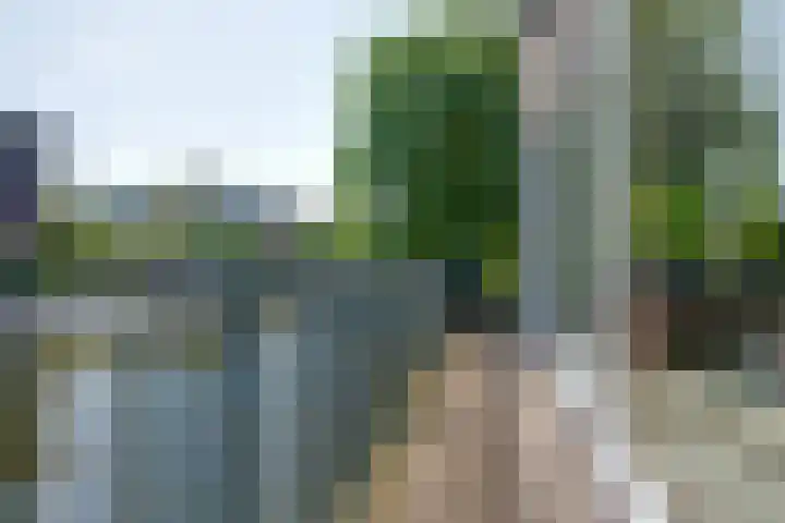 Wonderfontein 74 Purmerend thumbnail 38
