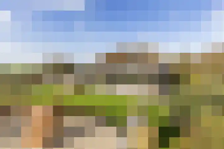 Wonderfontein 74 Purmerend thumbnail 39