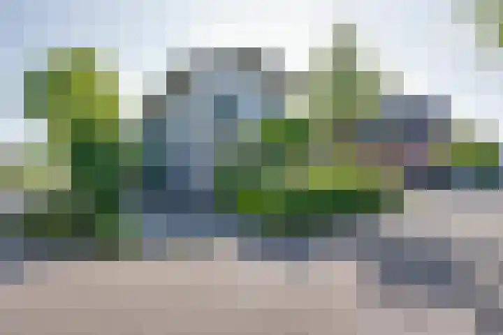 Wonderfontein 74 Purmerend thumbnail 4