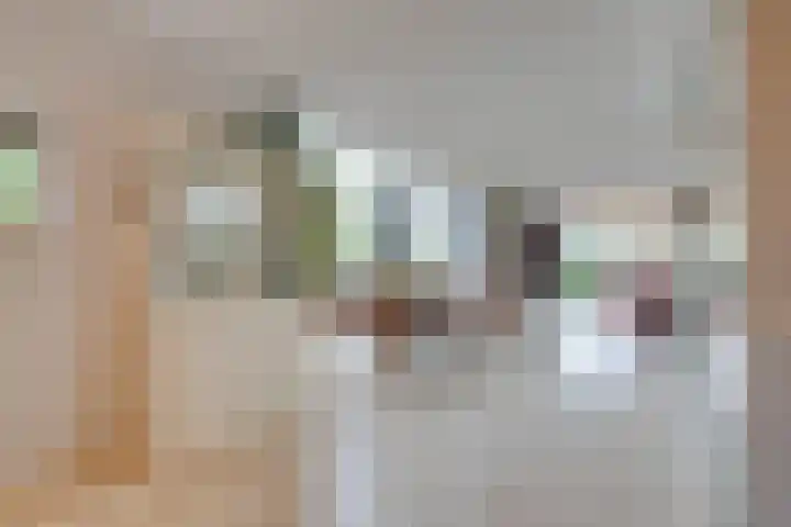 Wonderfontein 74 Purmerend thumbnail 8