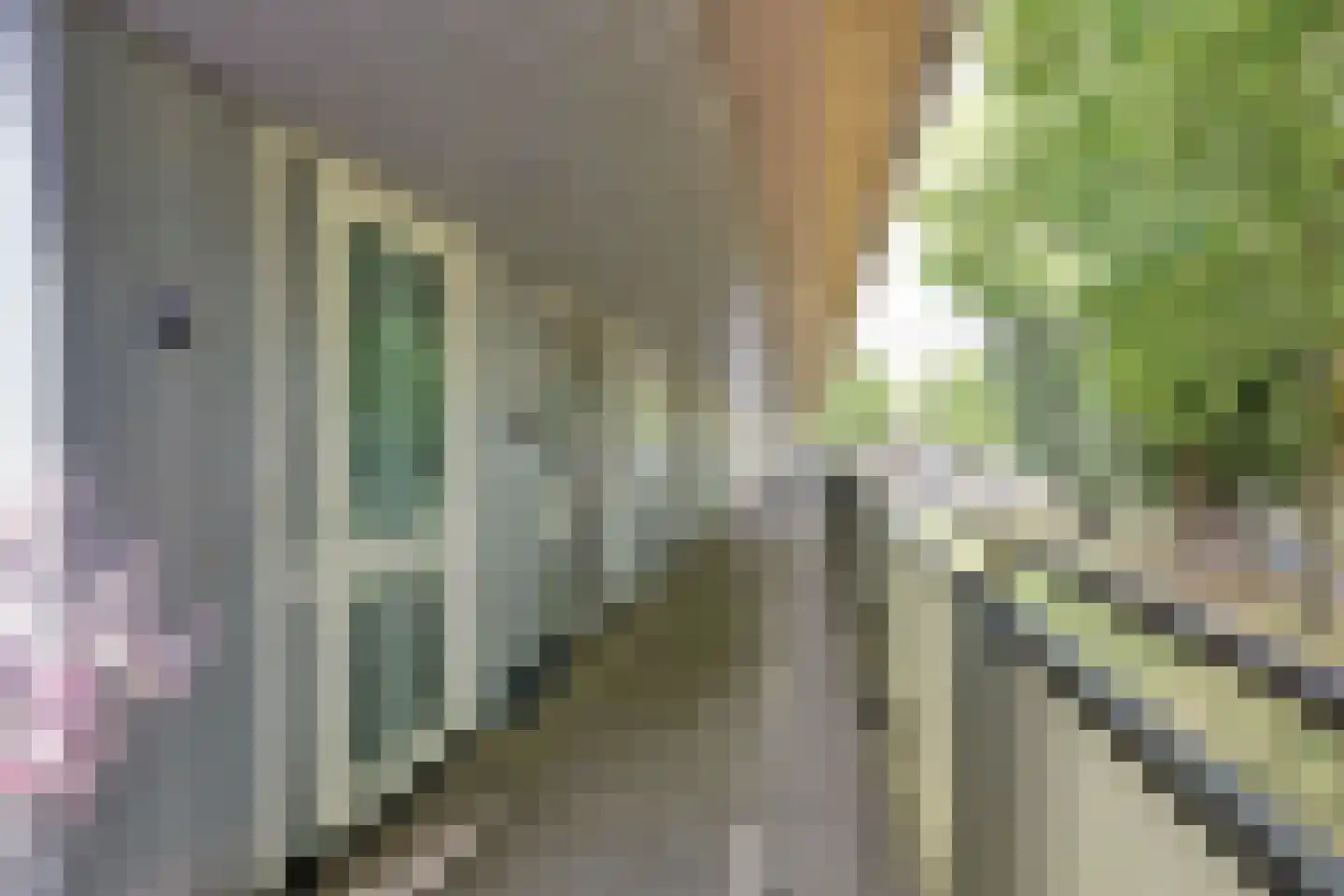 Wonderklauwpad 8 Hoogvliet Rotterdam thumbnail 23