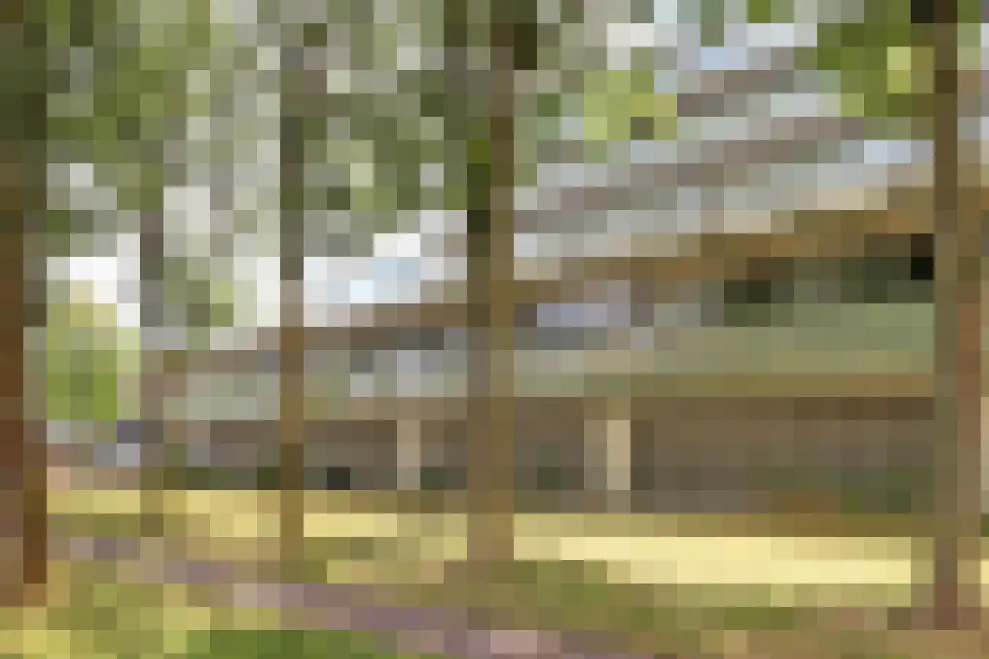 Wonderklauwpad 8 Hoogvliet Rotterdam thumbnail 25