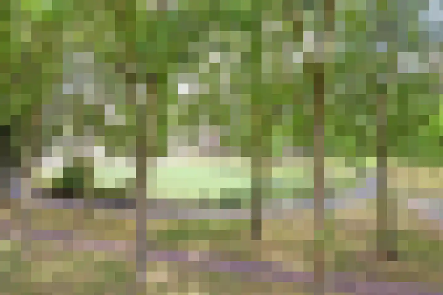 Wonderklauwpad 8 Hoogvliet Rotterdam thumbnail 26
