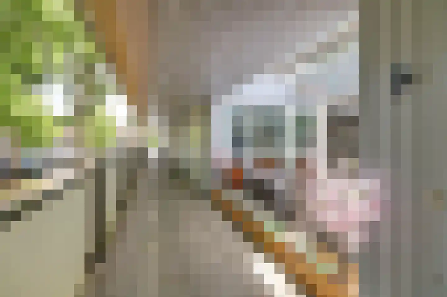 Wonderklauwpad 8 Hoogvliet Rotterdam thumbnail 4