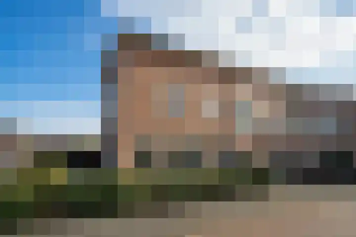 Wondklaver 24 in IJmuiden