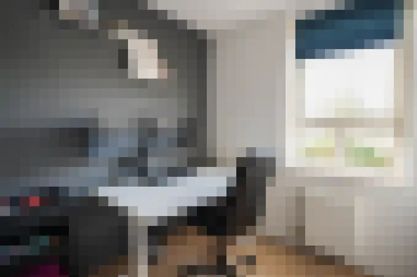 Wondklaver 24 IJmuiden thumbnail 21