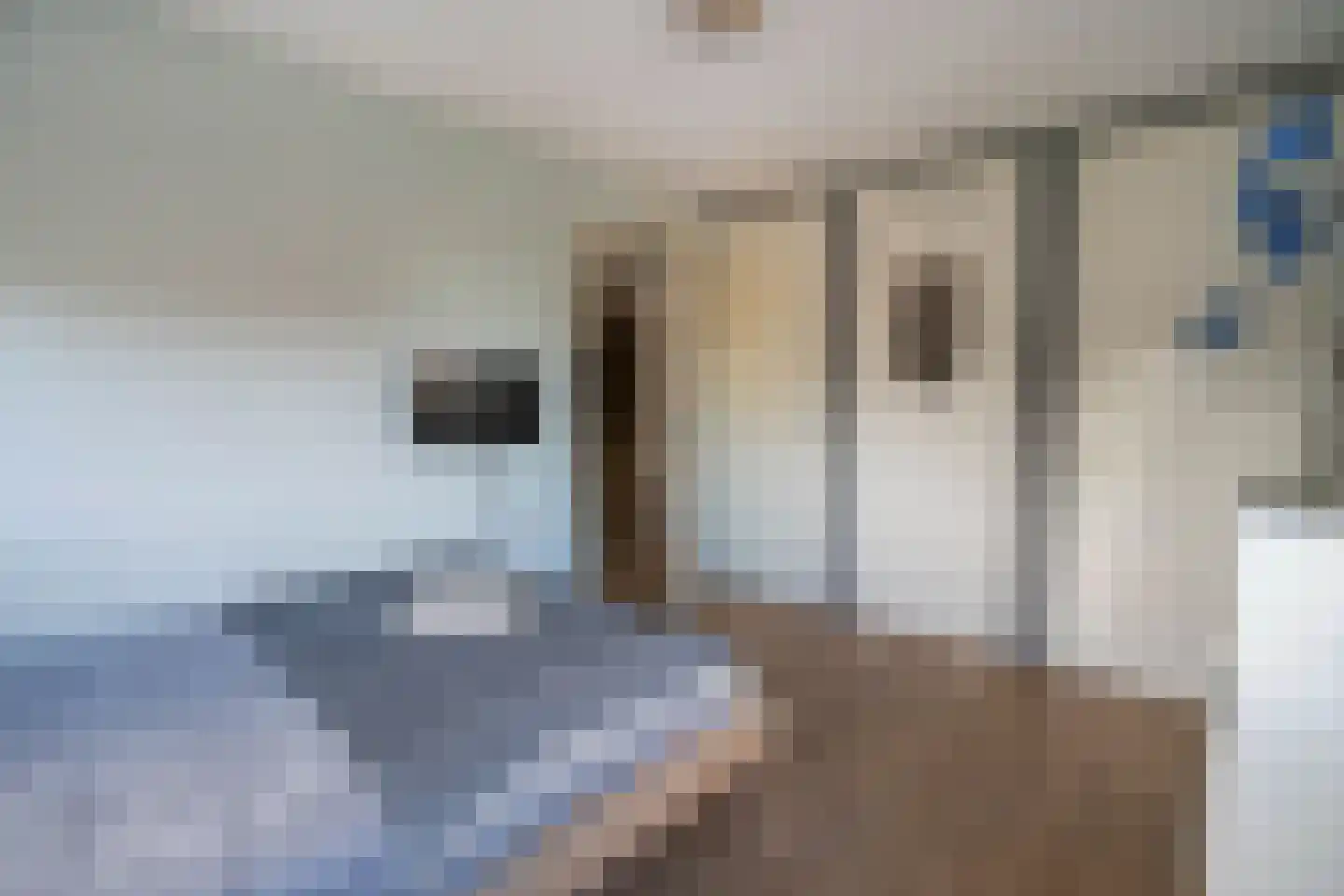 Wondklaver 24 IJmuiden thumbnail 25