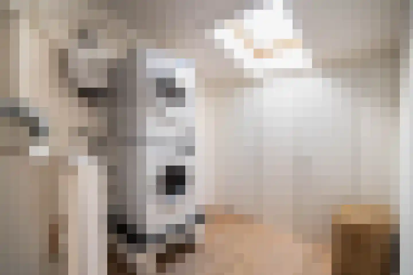Wondklaver 24 IJmuiden thumbnail 31