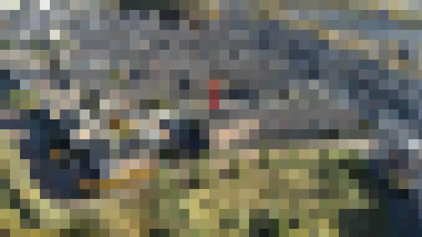 Wondklaver 24 IJmuiden thumbnail 32