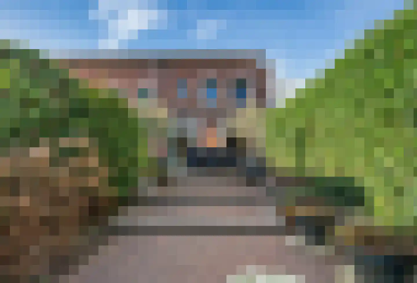 Wondklaver 24 IJmuiden thumbnail 40