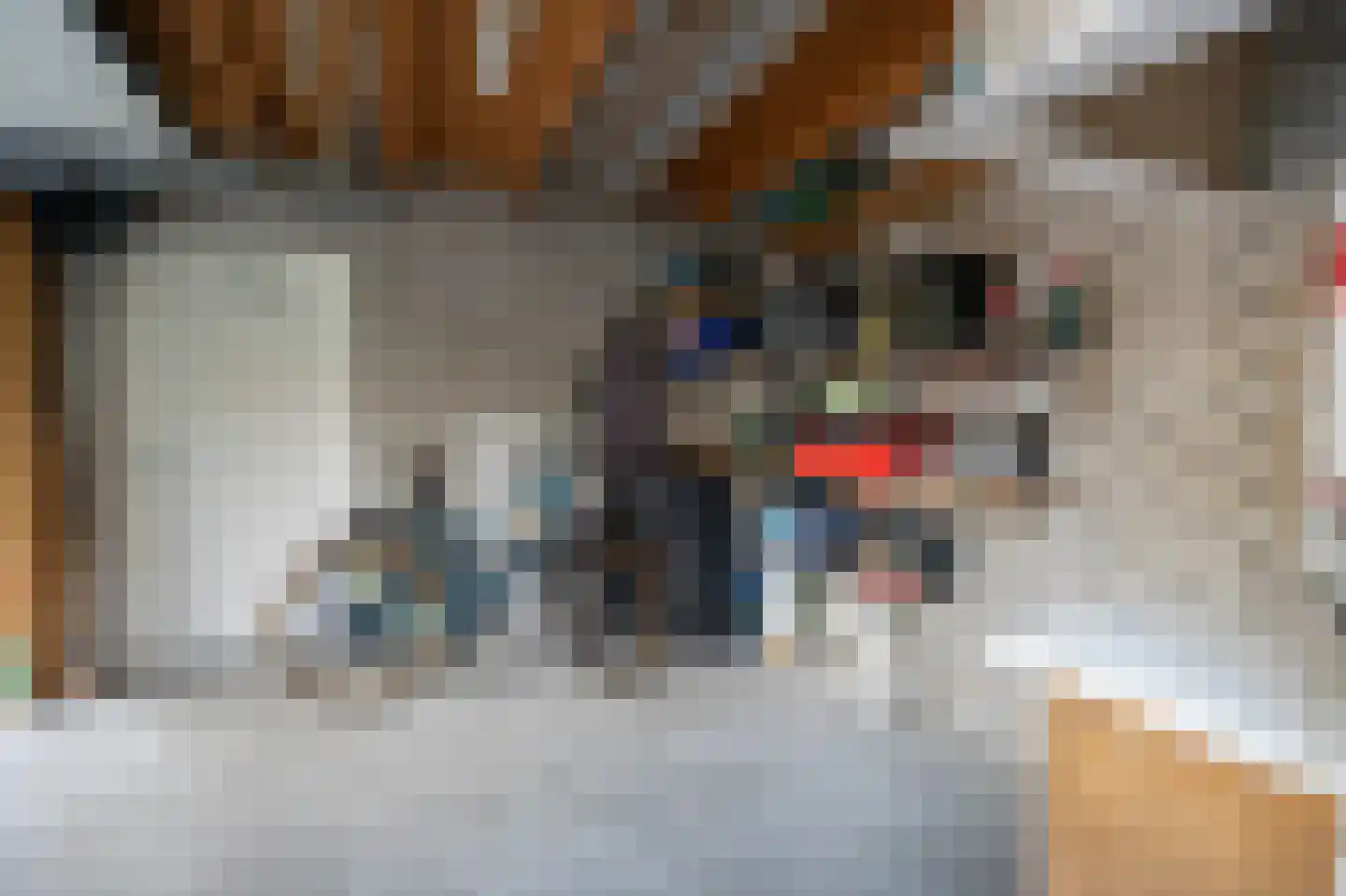 Wondklaver 24 IJmuiden thumbnail 42
