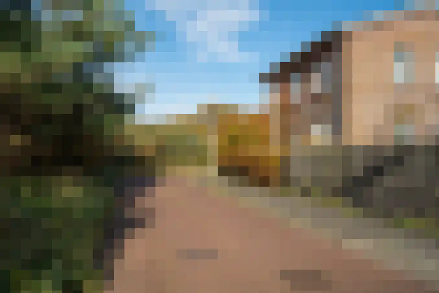 Wondklaver 24 IJmuiden thumbnail 45