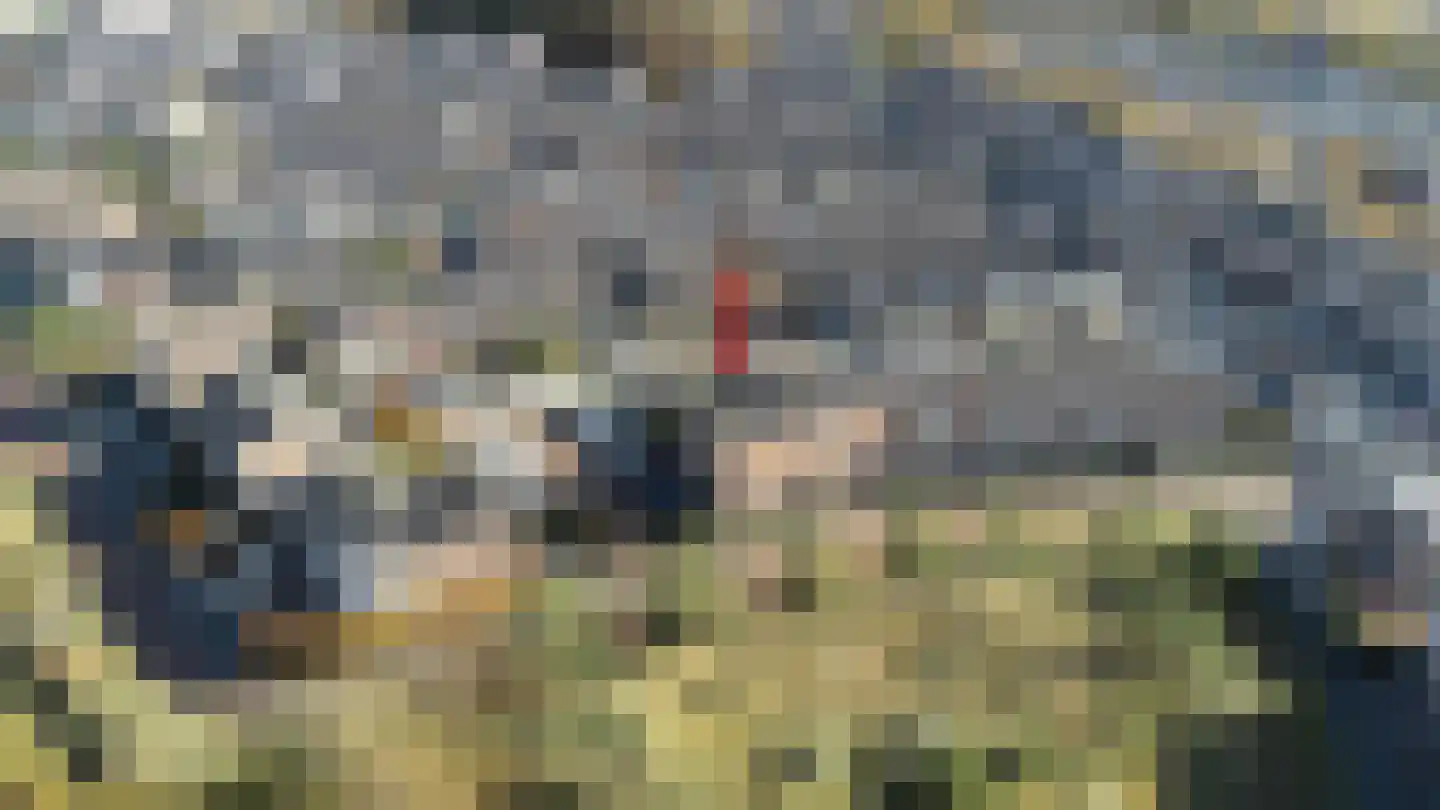 Wondklaver 24 IJmuiden thumbnail 46
