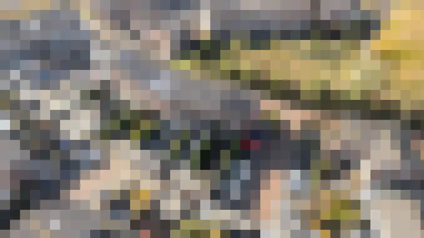 Wondklaver 24 IJmuiden thumbnail 47