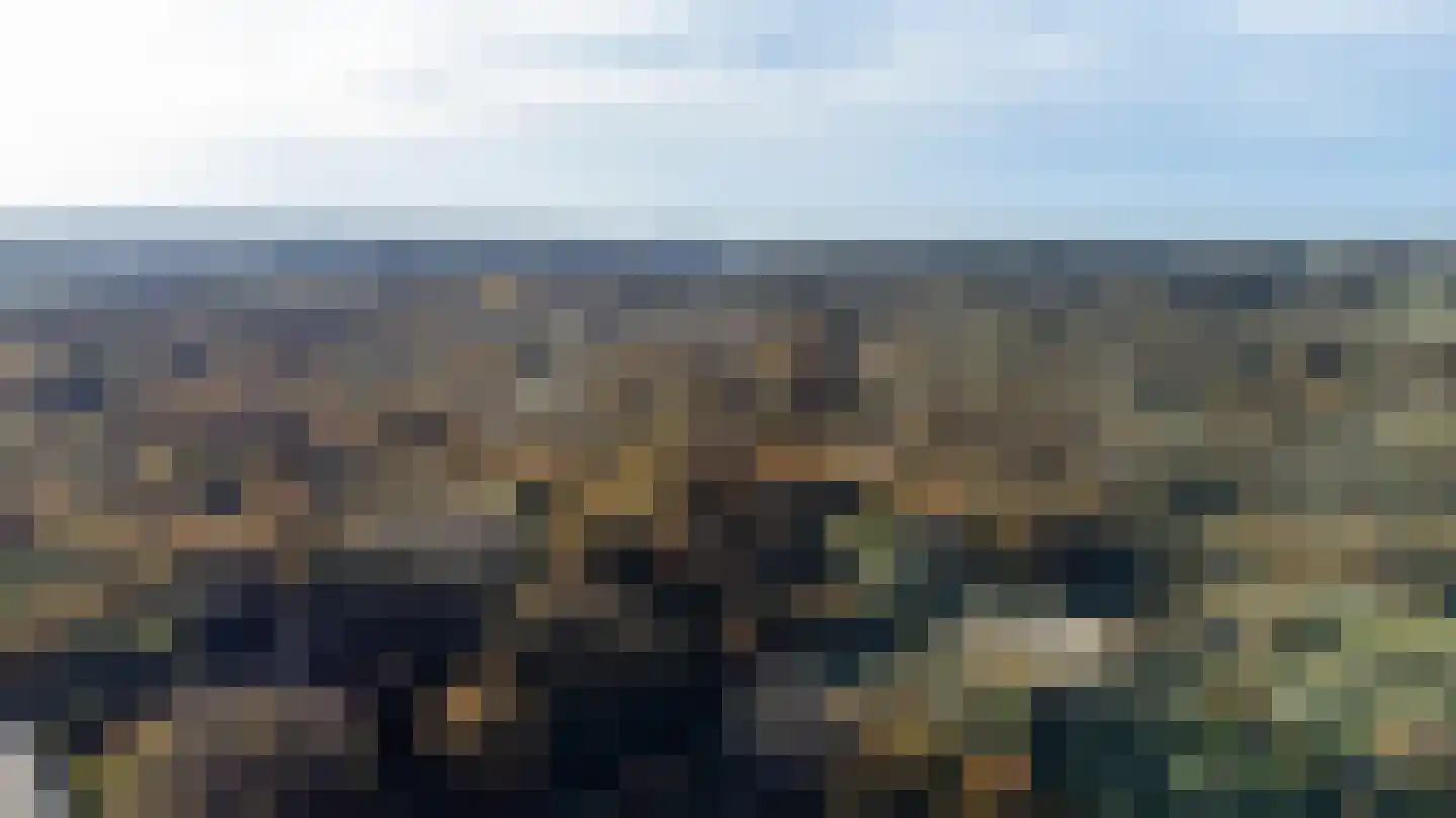 Wondklaver 24 IJmuiden thumbnail 48