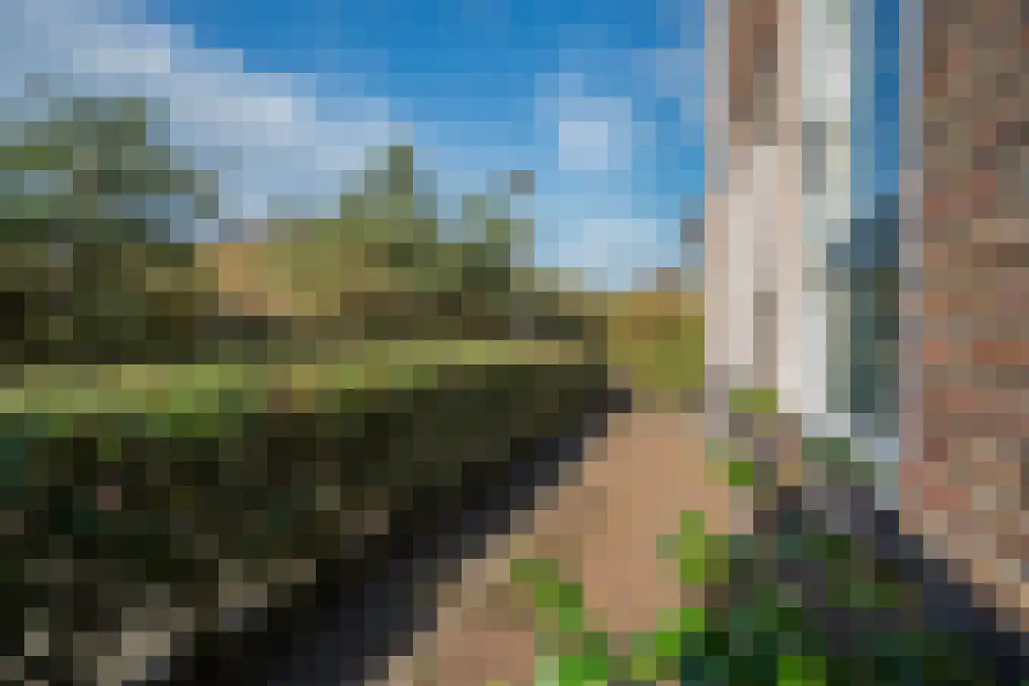 Wondklaver 24 IJmuiden thumbnail 6