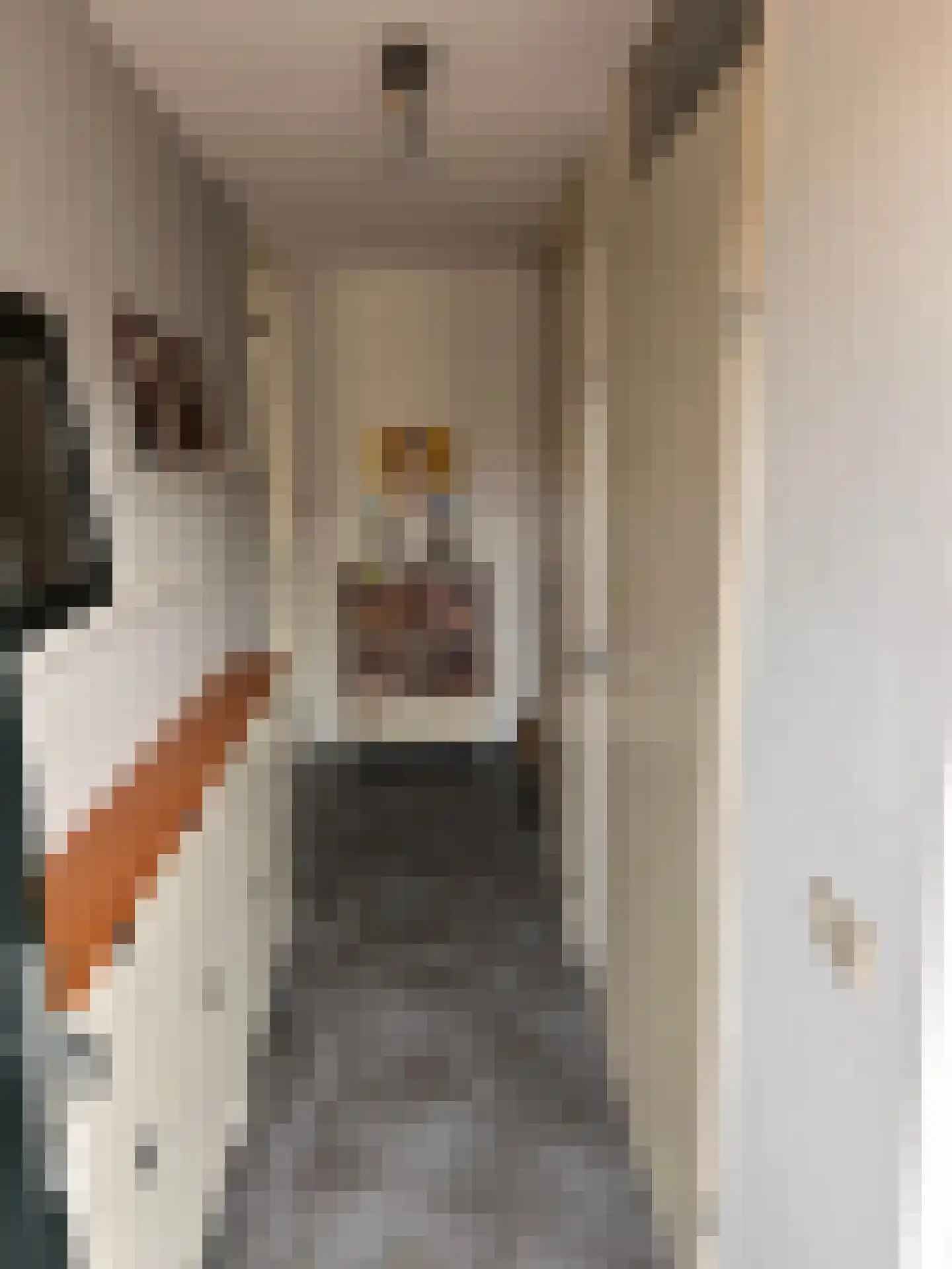 Wondklaver 24 IJmuiden thumbnail 8