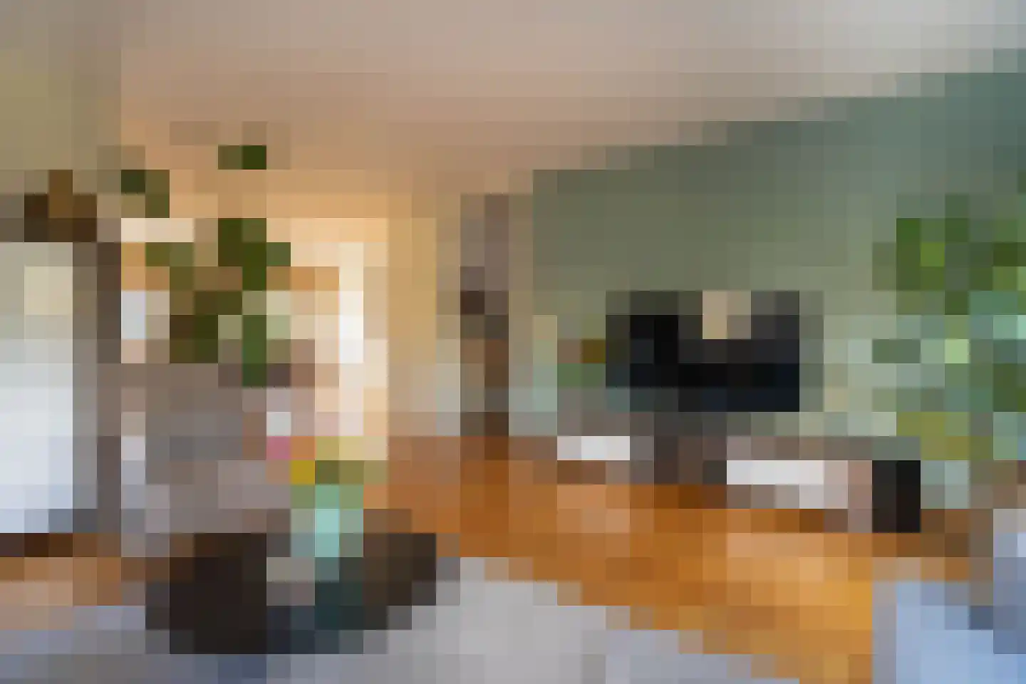 Wondklaver 24 IJmuiden thumbnail 9