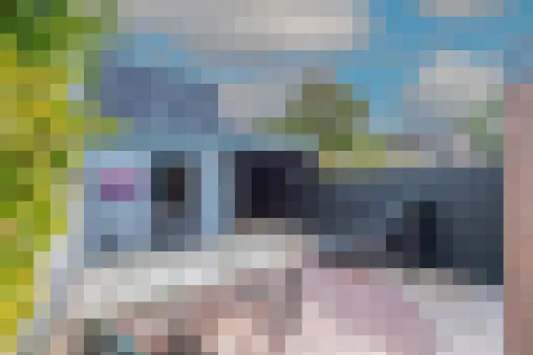 Wonge 24 Warmenhuizen thumbnail 19