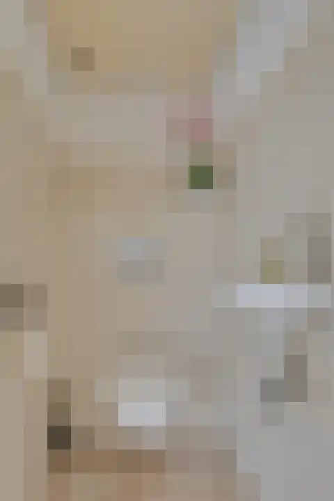 Wonge 24 Warmenhuizen thumbnail 26