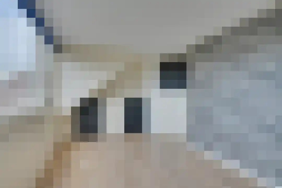 Wonge 24 Warmenhuizen thumbnail 41