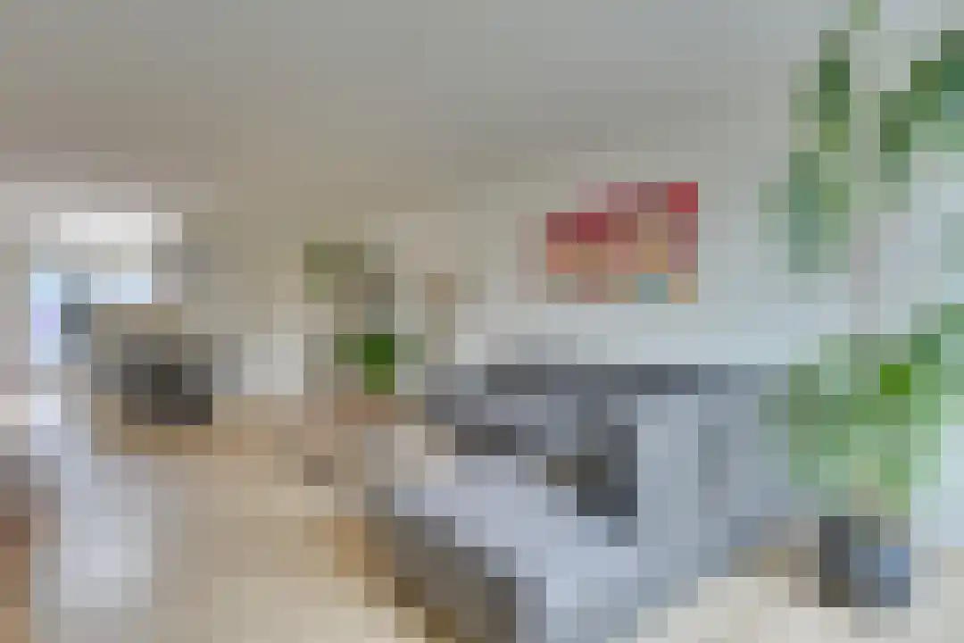 Wonge 24 Warmenhuizen thumbnail 7