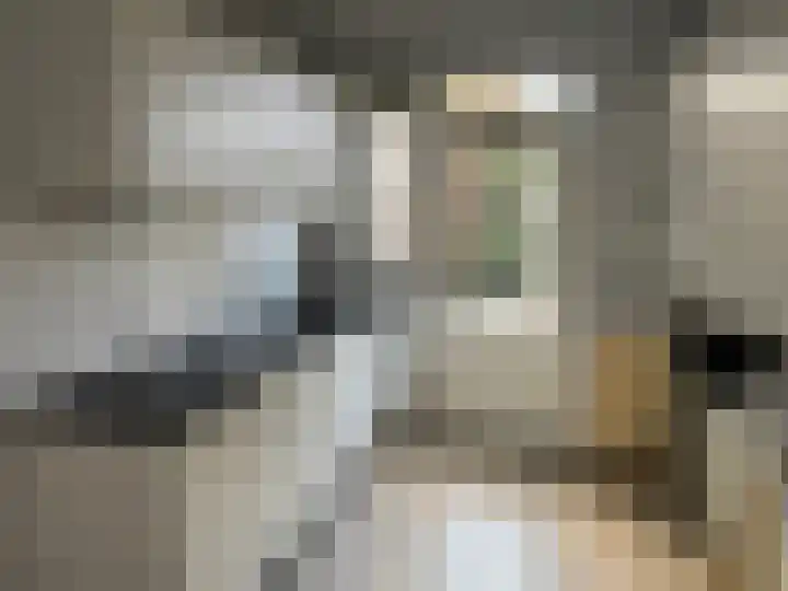 Wonge 41 Warmenhuizen thumbnail 11