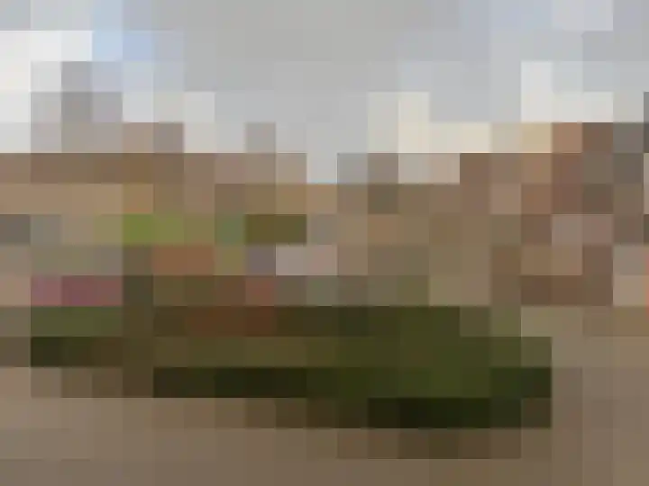 Wonge 41 Warmenhuizen thumbnail 31