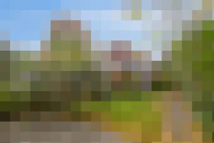 Wonge 43 Warmenhuizen thumbnail 22