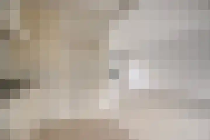 Wonge 43 Warmenhuizen thumbnail 8