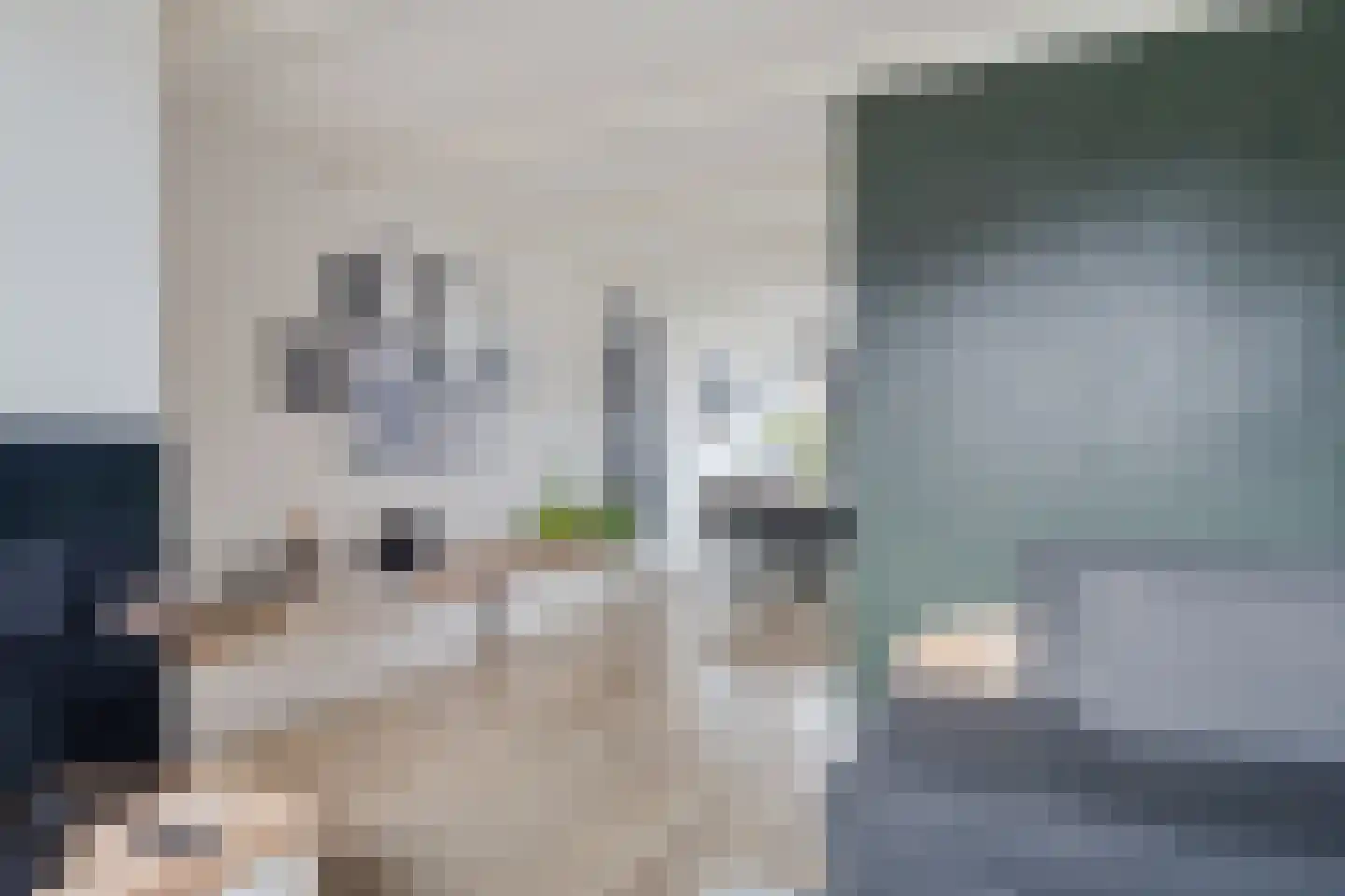 Wonge 46 Warmenhuizen thumbnail 12