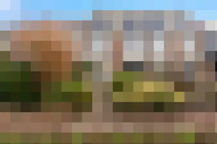 Wonge 9 Warmenhuizen