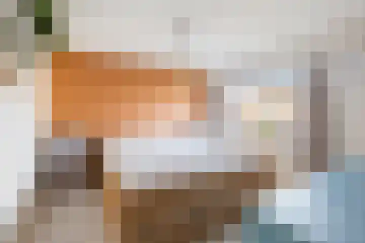 Wonge 9 Warmenhuizen thumbnail 13