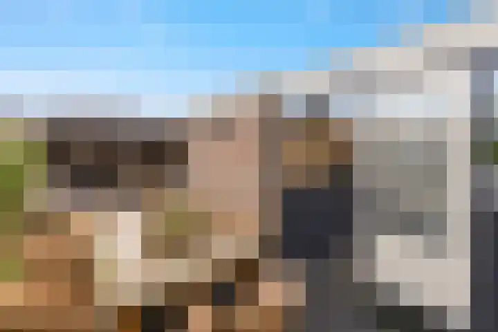 Wonge 9 Warmenhuizen thumbnail 24