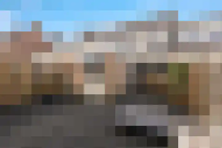 Wonge 9 Warmenhuizen thumbnail 25