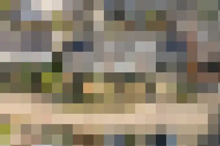 Wonge 9 Warmenhuizen thumbnail 29