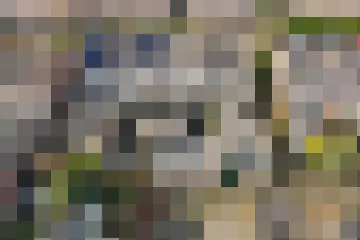 Wonge 9 Warmenhuizen thumbnail 30