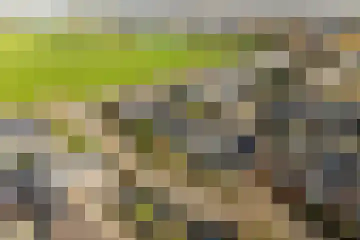 Wonge 9 Warmenhuizen thumbnail 32