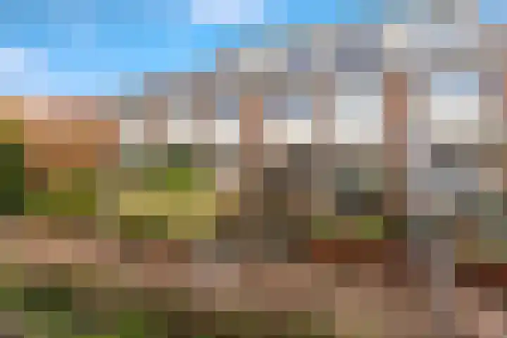 Wonge 9 Warmenhuizen thumbnail 33