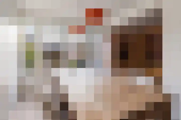 Wonge 9 Warmenhuizen thumbnail 6