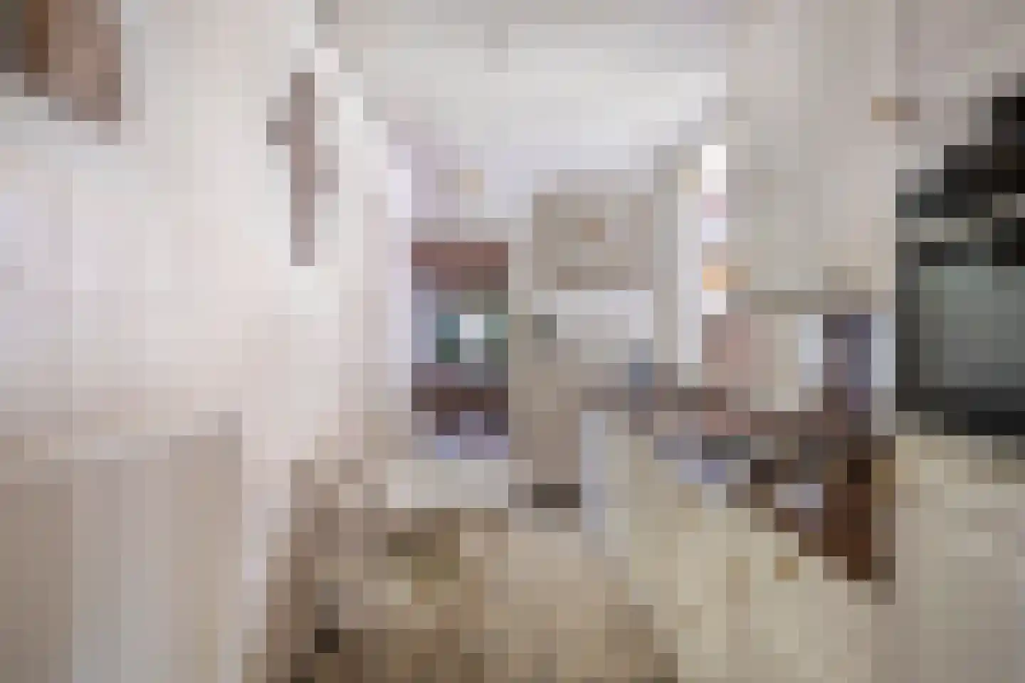 Wonkelestraat 14 Bunde thumbnail 10