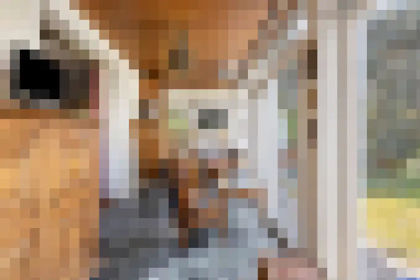 Wonkelestraat 14 Bunde thumbnail 11