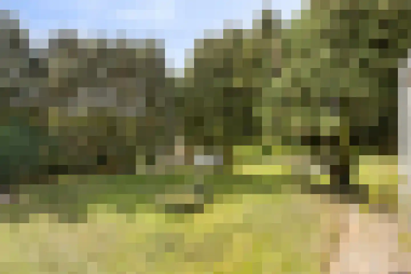 Wonkelestraat 14 Bunde thumbnail 23