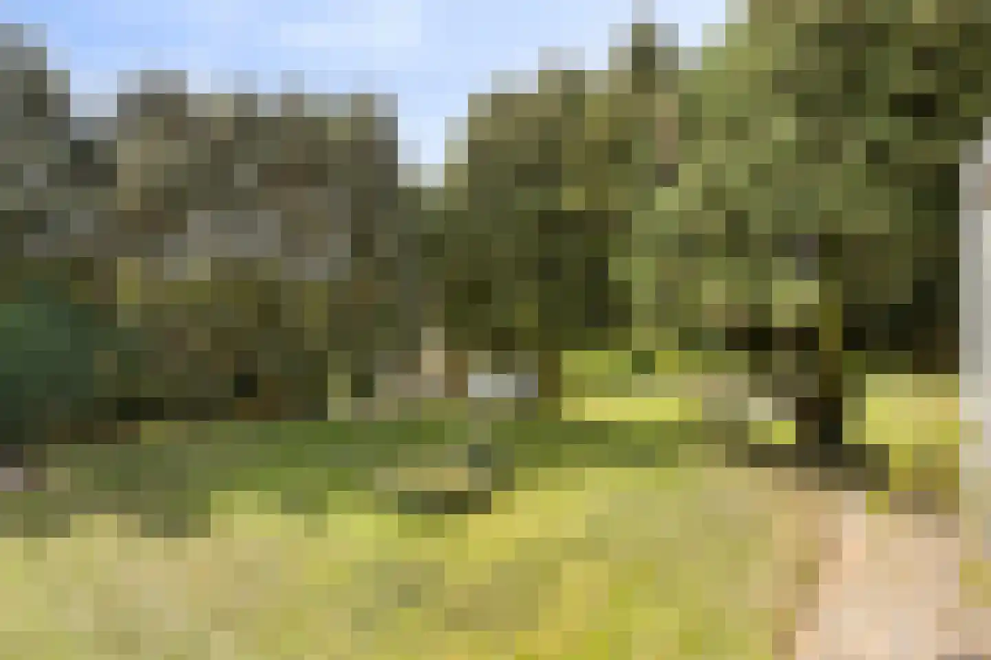 Wonkelestraat 14 Bunde thumbnail 23