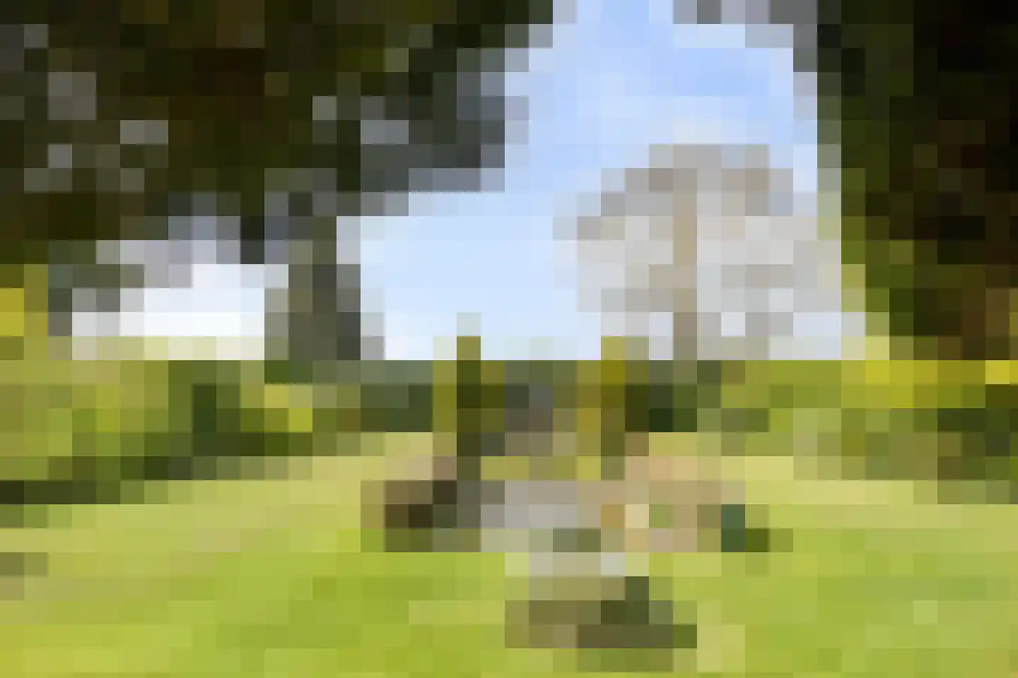 Wonkelestraat 14 Bunde thumbnail 24