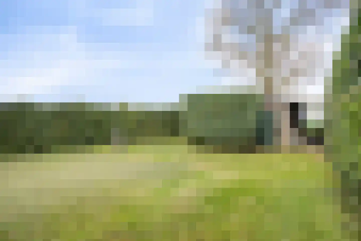 Wonkelestraat 14 Bunde thumbnail 26