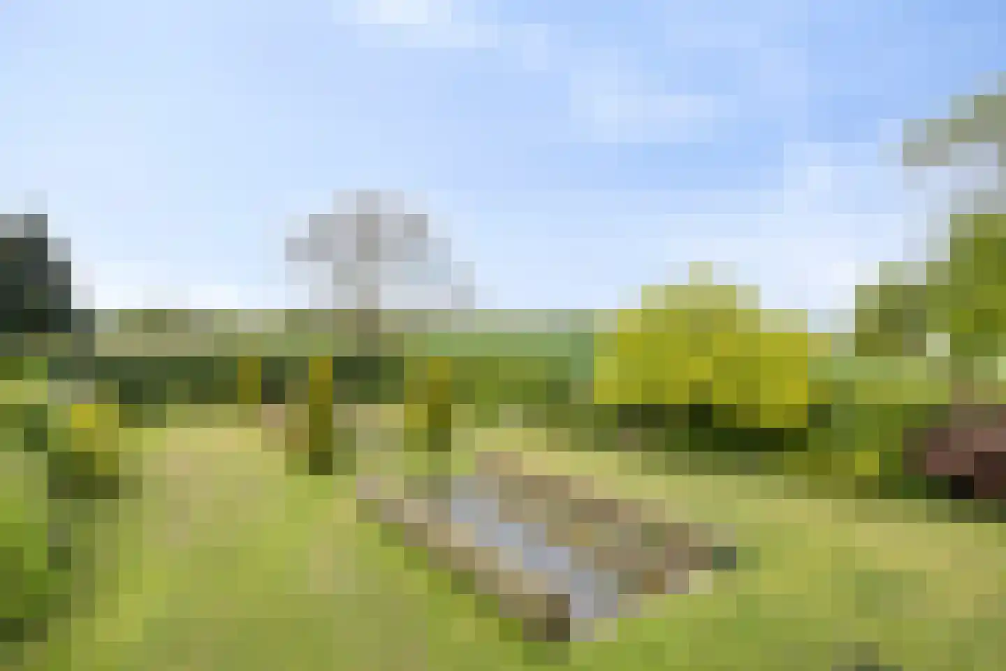 Wonkelestraat 14 Bunde thumbnail 27