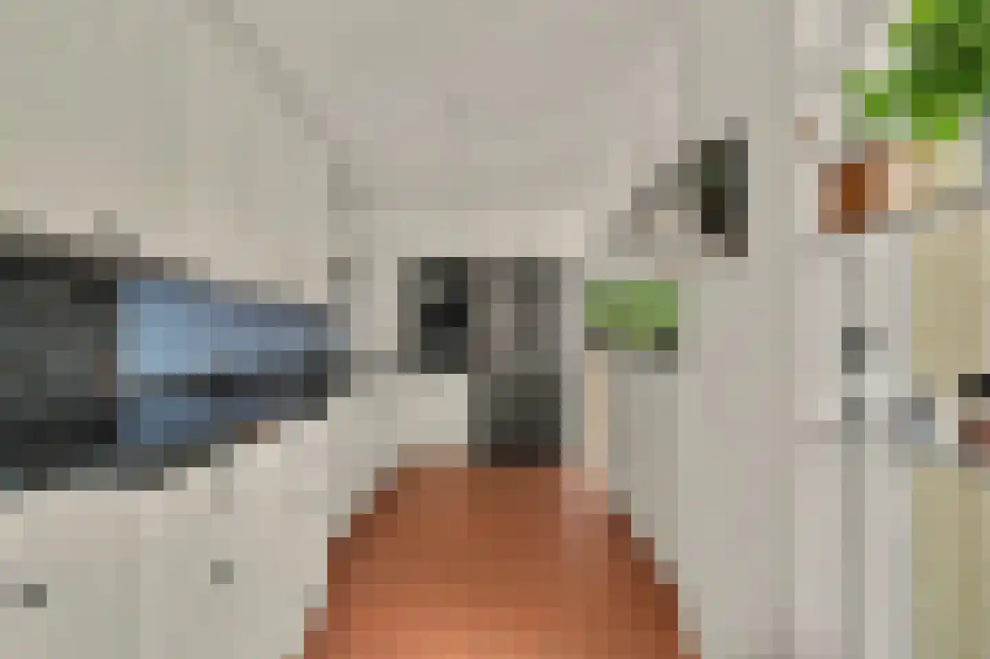 Woodrow Wilsonlaan 1 Rijswijk thumbnail 11