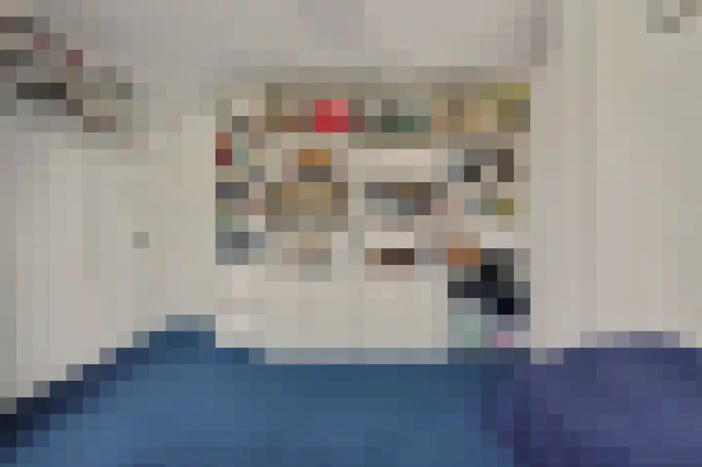 Woodrow Wilsonlaan 1 Rijswijk thumbnail 22